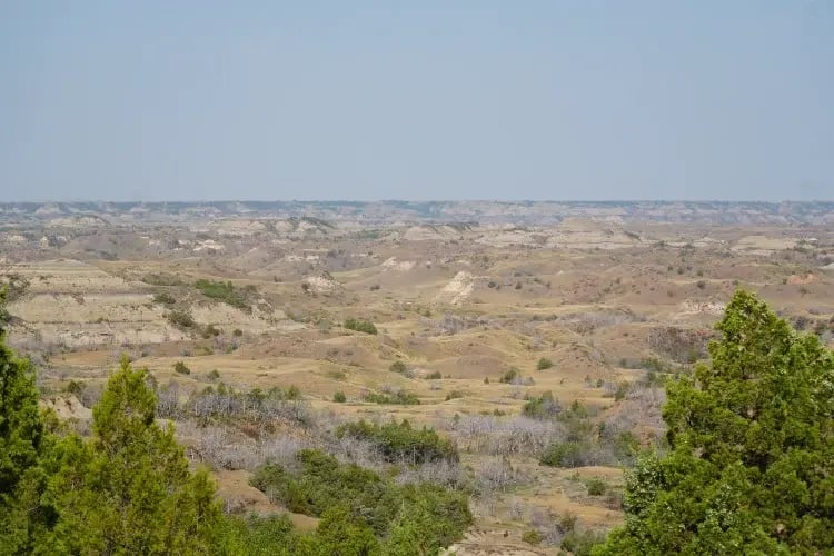 a vast, open landscape with a clear sky above. The terrain is primarily flat with gentle undulations, and the color palette is dominated by earthy tones such as browns and tans, indicative of a natural, possibly arid environment.