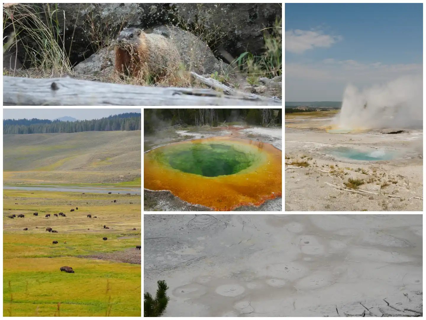 six different photographs, each depicting a natural scene.