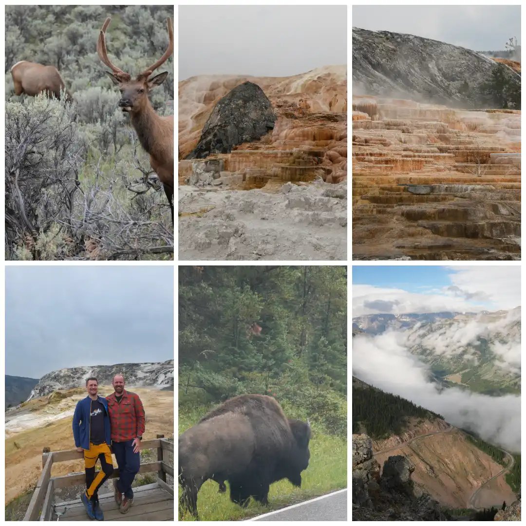 six different photographs showcasing wildlife and natural landscapes.