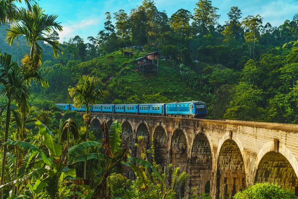Sri Lanka – Luksusreise for homofile menn – opplev magien sammen