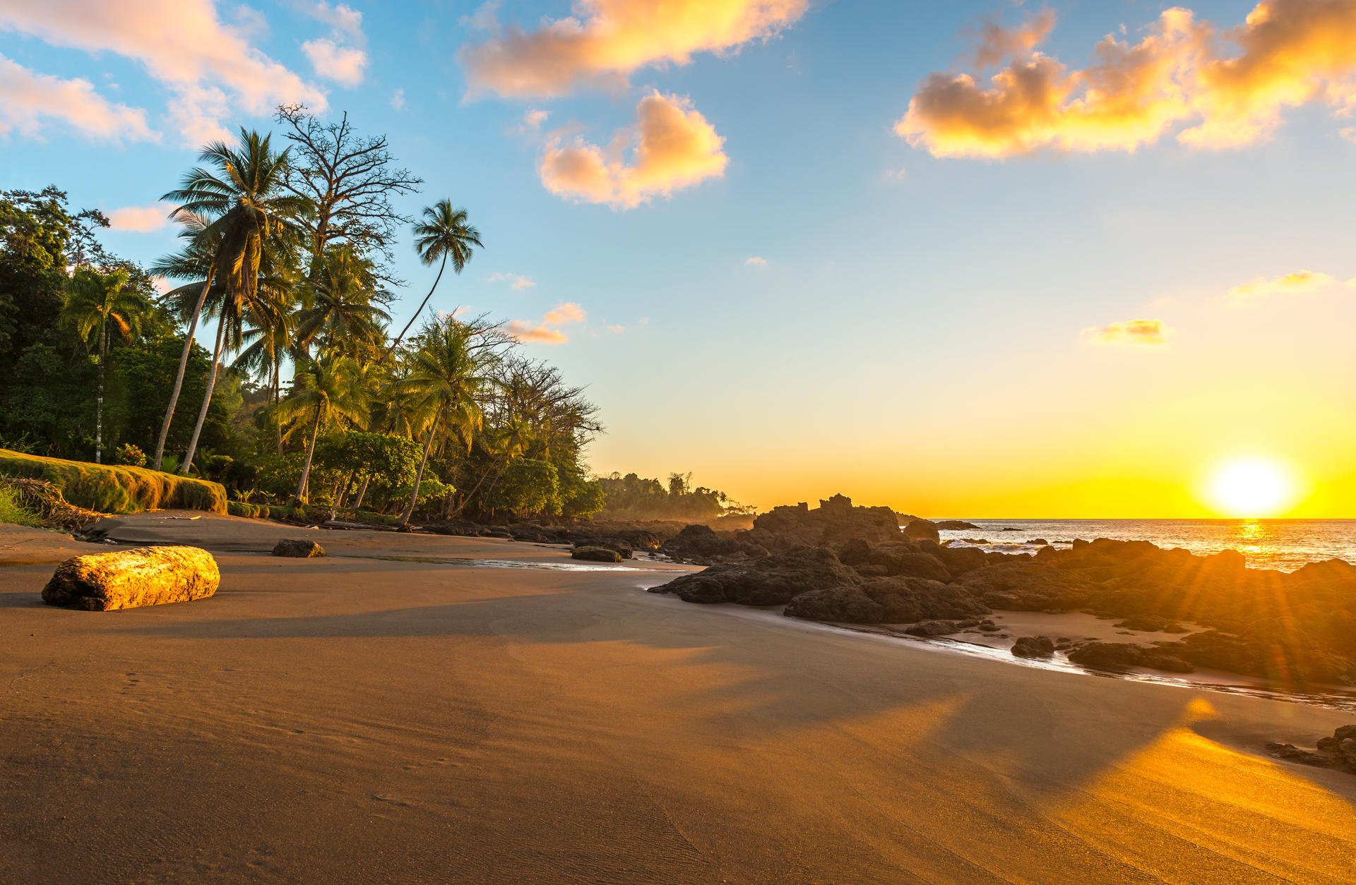 Vakker solnedgang på stranden i Corcovado nasjonalpark i Costa Rica. Silhuetter av tropiske palmetrær. Vakker solnedgang på stranden i Corcovado nasjonalpark i Costa Rica. Silhuetter av tropiske palmetrær.