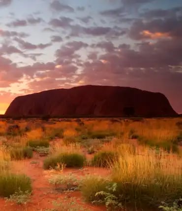 Uluru i solnedgang