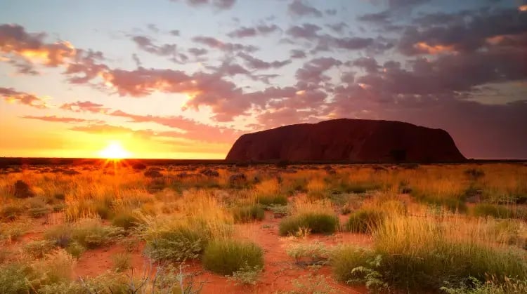 Sydney, Rock and Reef – bilde 1