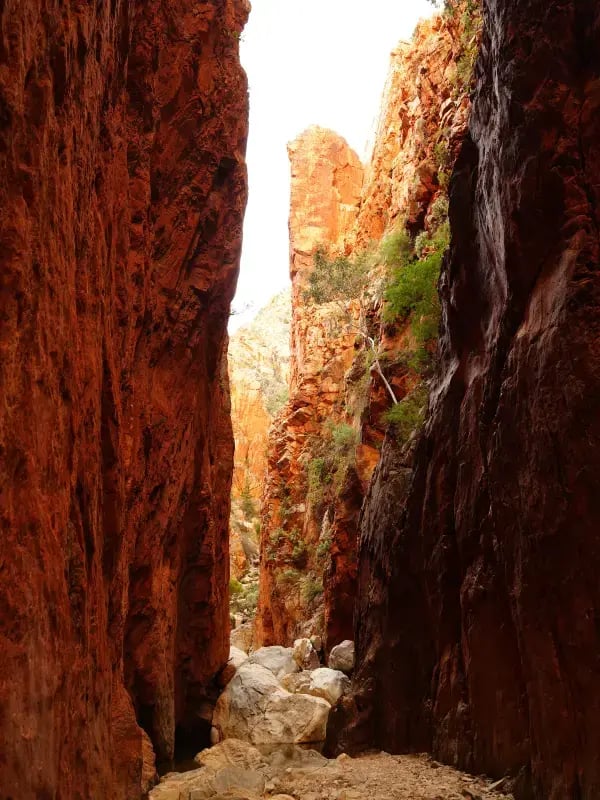 a narrow canyon with steep, reddish-brown rock walls. There is a visible crack or opening between the walls, suggesting a possible passageway. The ground is covered with small rocks, and there is some greenery at the top of one of the walls.