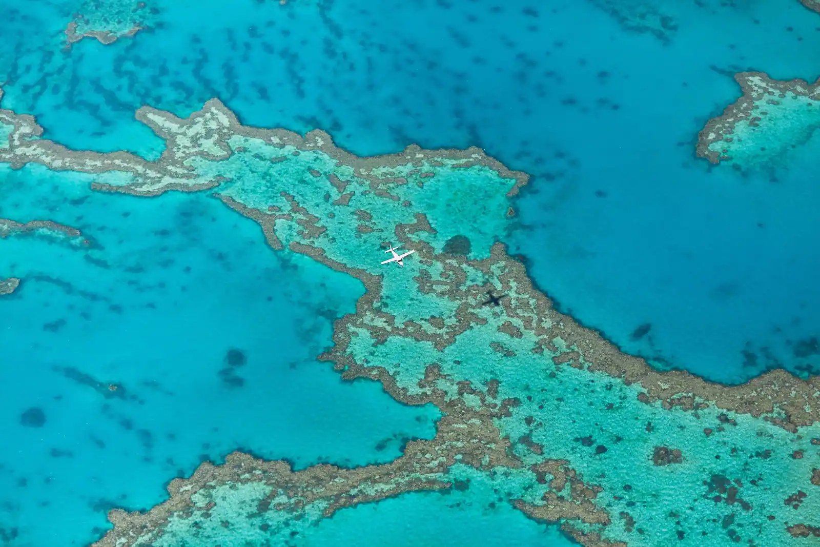Flyfoto av great barrier reef med sjøfly.