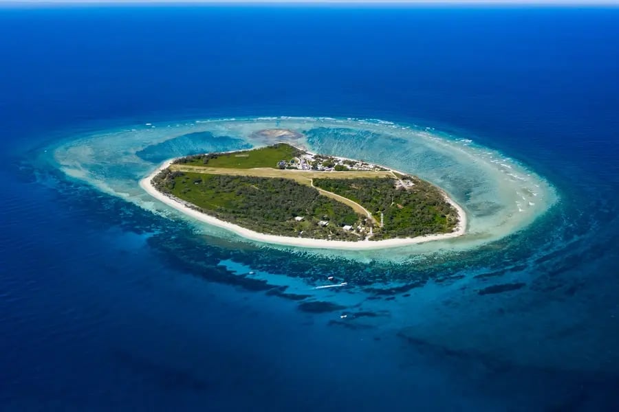 Flyfoto av Lady Elliot Island, en liten korallø omgitt av turkist rev og dypblått hav.