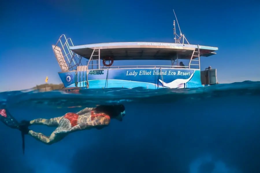 Snorkler under vann foran glassbunnbåten, delt i to av vannlinjen.