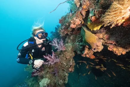 Queensland fra Nord til Sør – bilde 3