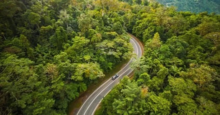 Queensland fra Nord til Sør – bilde 5