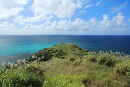 Aktiv i Fransk Polynesia – bilde 5