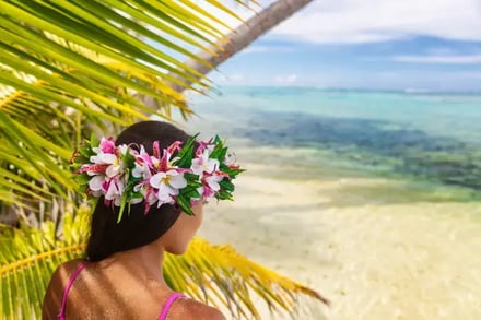 Bryllupsreise i Fransk Polynesia – bilde 4