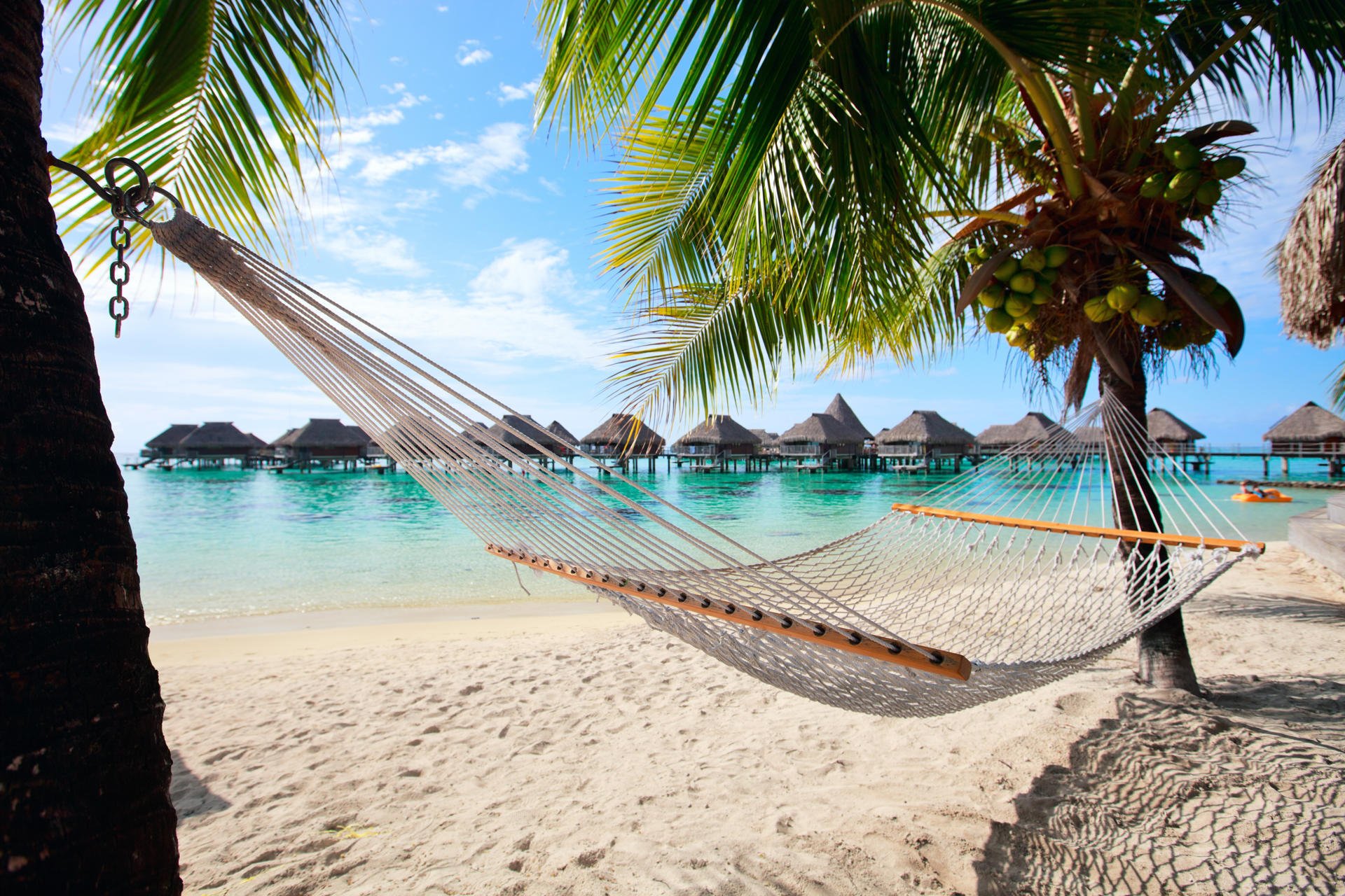 En hengekøye mellom palme og overwater bungalow i bakgrunn.