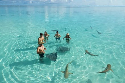 Helt enkelt - Fransk Polynesia – bilde 5
