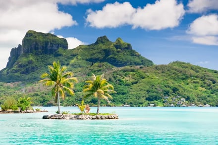 Dykking i Fransk Polynesia – bilde 4