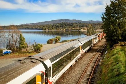 Togferie New Zealand – bilde 3