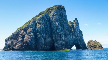 New Zealands Høydepunkter – bilde 2