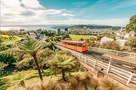 Aktiv i New Zealand – en episk reise gjennom natur og eventyr – bilde 2