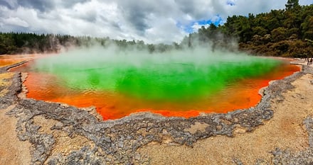 Bilferie New Zealand – bilde 2