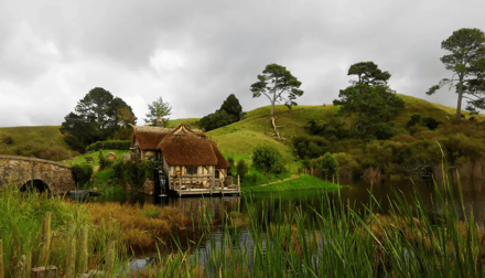 Bilferie New Zealand – bilde 3