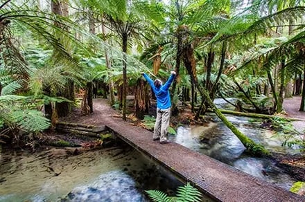 Aktiv i New Zealand – en episk reise gjennom natur og eventyr – bilde 4