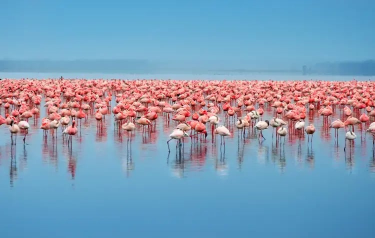 iStock-103963118
