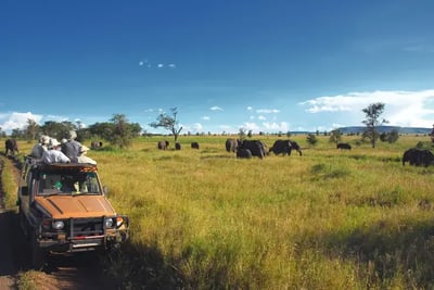 Safarturister står i 4x4 safaribilen og ser på elefanter gresse.