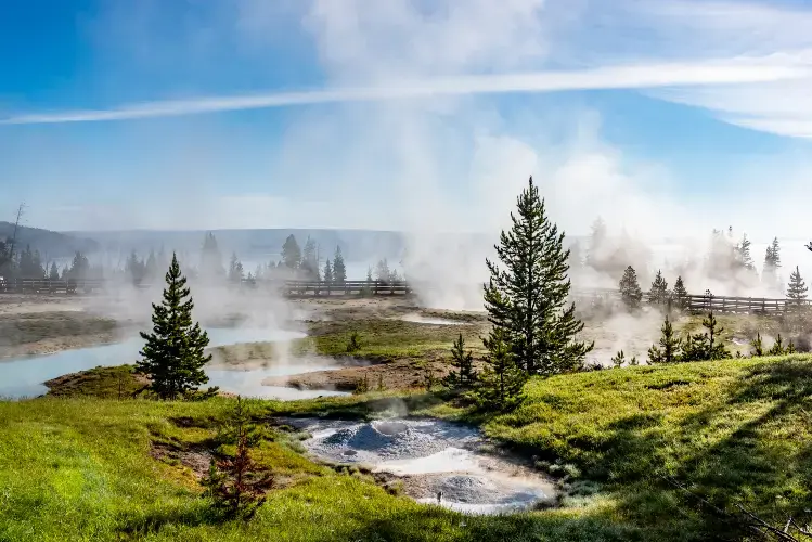 Bilferie i USA: Yellowstone og canyonlandskap