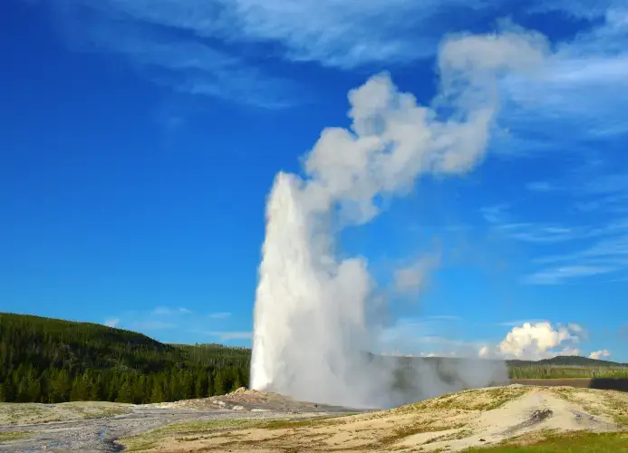Bilferie i USA – Yellowstone, Black Hills og Rocky Mountains