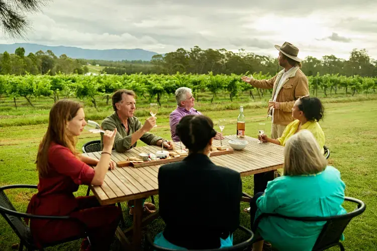 En gruppe mennesker som koser seg med vinsmakning blandt vinranker. En gruppe mennesker som koser seg med vinsmakning blandt vinranker.