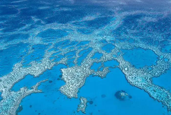 Great Barrier Reef sett fra luften Great Barrier Reef sett fra luften