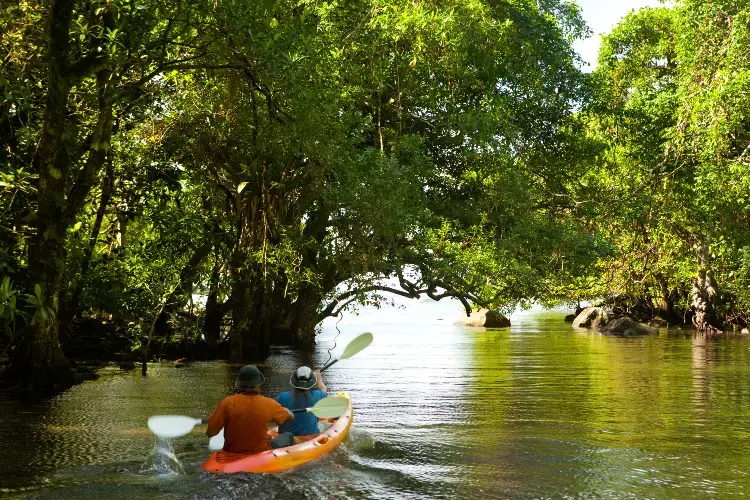 To personer i kano To personer i kano