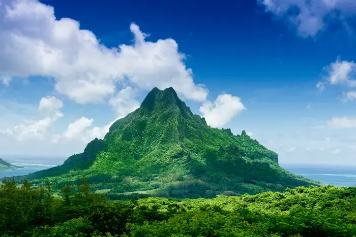 Et skogkledd fjell på Moorea.