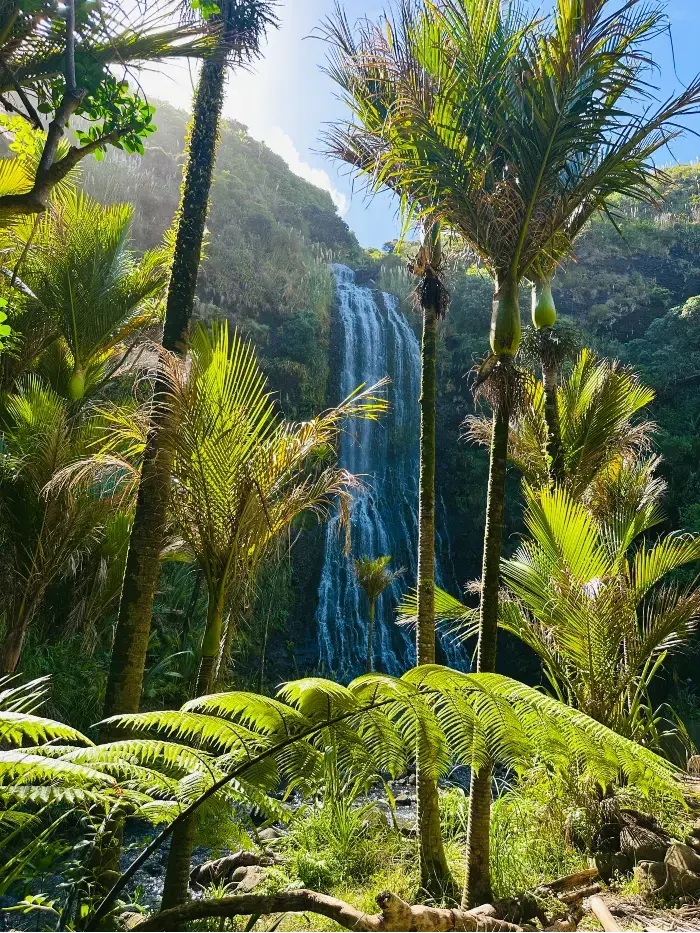 Bilferie New Zealand