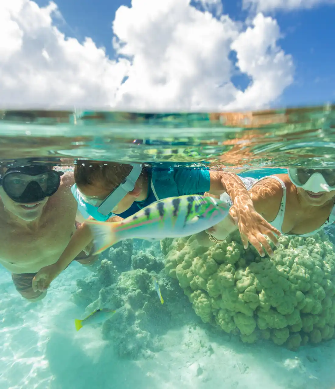 Aktiv i Fransk Polynesia