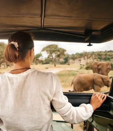 Eksklusiv safari i Tanzania og Zanzibar