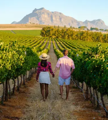 Kulinariske Safari Sør-Afrika 