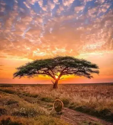 Klassiske Sør-Afrika med stil