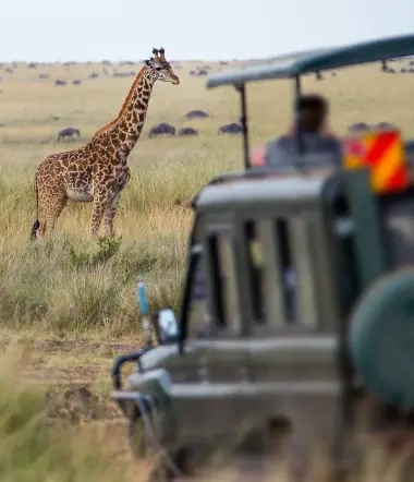 Eksklusiv safari i Kenya