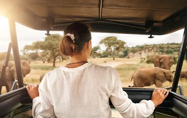 En dame som står i safaribil og ser på elefanter